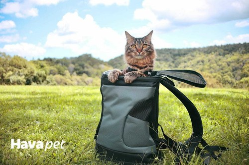 Havapet Backpack Cat Carrier - Picture 8 of 10