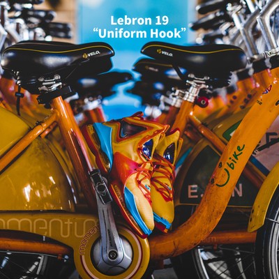 lebron 19 uniform price