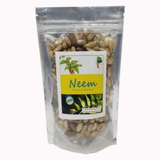 Urban Gardeners Neem Seeds Azadirachta Indica for Planting - 50Gms