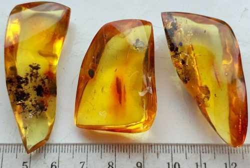 Amber Polished Ball Droplet Baltic stones natural Pendant 23 g Necklace 3 pcs