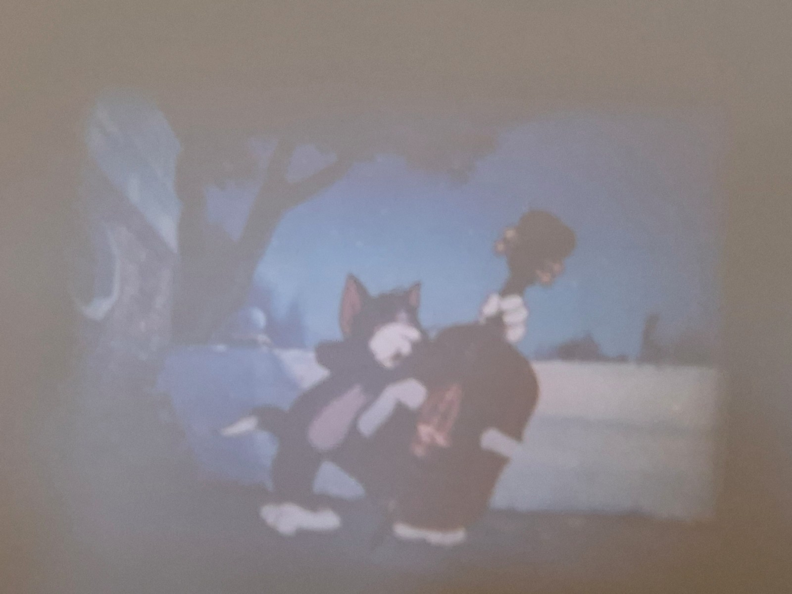 Picture 9 of 14