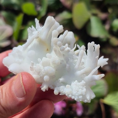 Video Top kleine Kabinettstufe Aragonit Flos Ferri 7x5x5cm Lavrion Griechenland