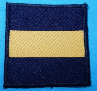 THE PRINCESS OF WALES ROYAL REGIMENT TACTICAL RECOGNITION FLASH TRF PATCH BADGE