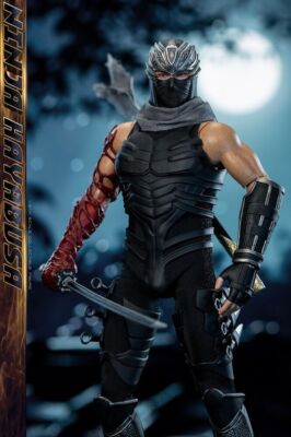 In Stock New SWTOYS FS063 1/6 Ninja HAYABUSA Collectible Male