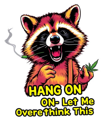 Hang On Let Me Overthink This Rocking Raccoon Decals Stickers for Car ...