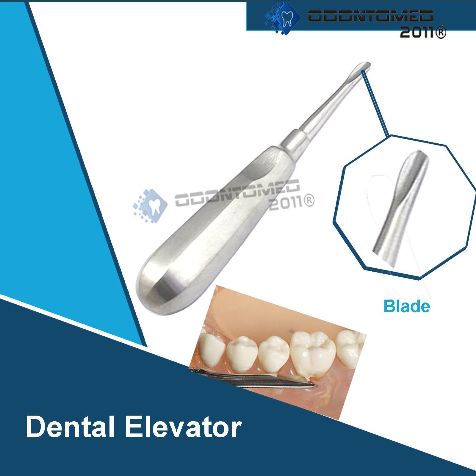 ODM Dental Elevator 34 Surgical Medical Instruments eBay