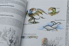 Bild 8 von 10