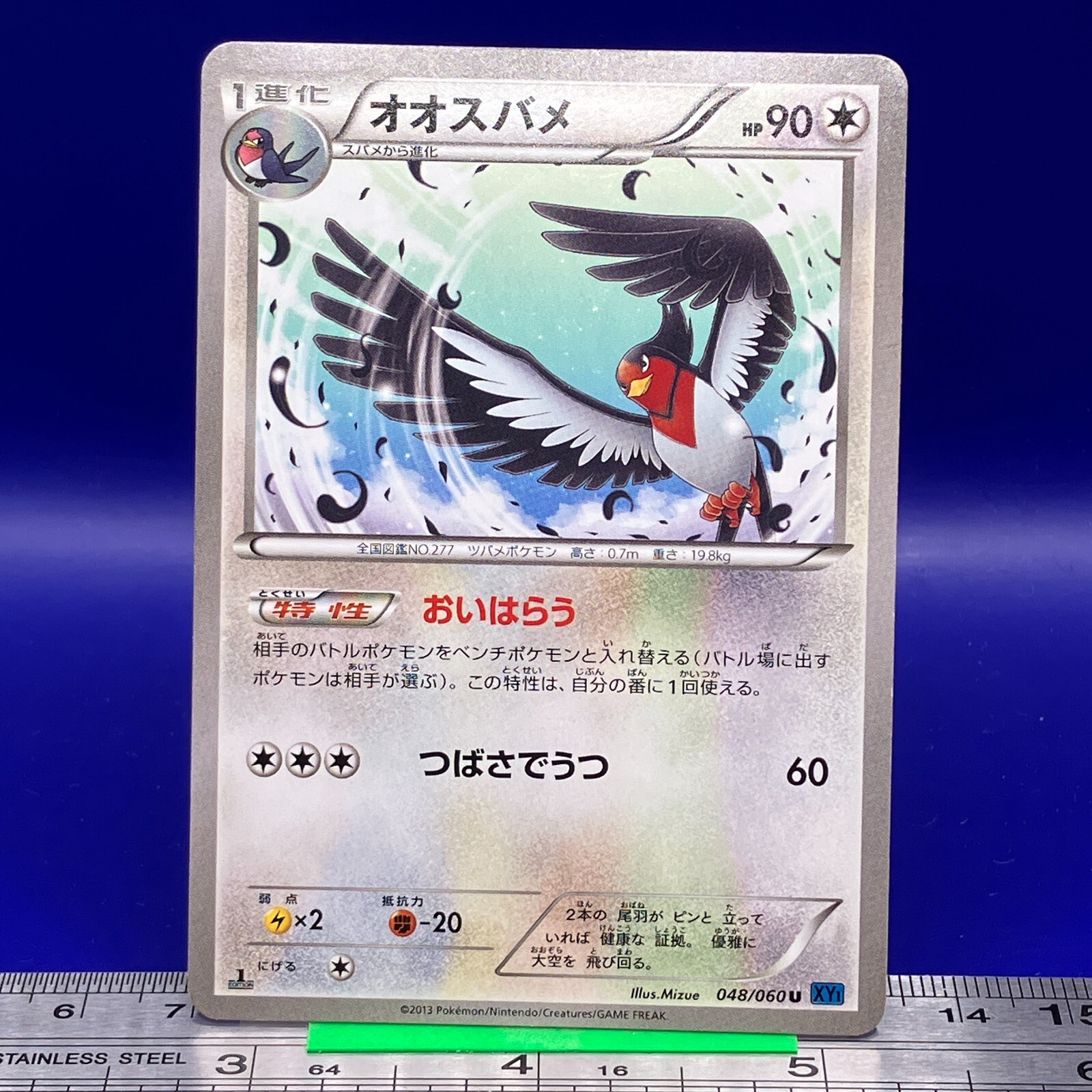 Swellow Pokemon Card 1st Ed 2013 048/060 XY1 Nintendo TCG Japanese #169a