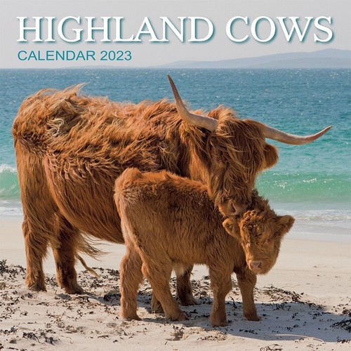 lowest-prices-modern-fashion-2021-cows-cows-cows-special-edition-wall