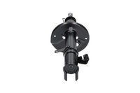 1X Kavo Parts StoßDäMpfer SSA-9037 FüR Toyota Corolla Compact Liftback 12V XLI
