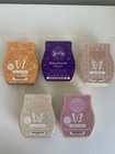 Scentsy Dessert Lot Of 5- Blueberry Cheesecake, Toasted Marshmallow And More
