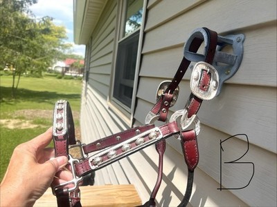 Circle Y Yearling Western Show Halter Unique Dot Design