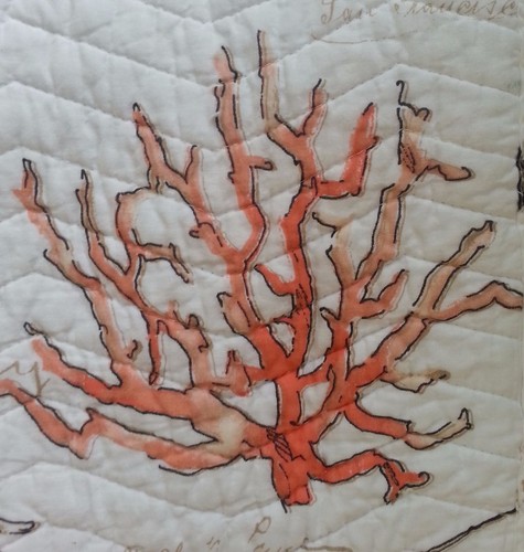 3-pc ☆ TROPICAL ☆ Twin Quilt Marine Life Seashells Coral Starfish Coastal Beach - Picture 6 of 11