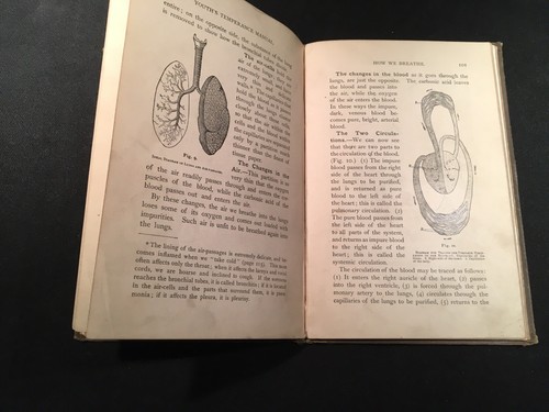1888 YOUTH'S TEMPERANCE MANUAL by ELI F. BROWN, M.D. - Imagen 6 de 6