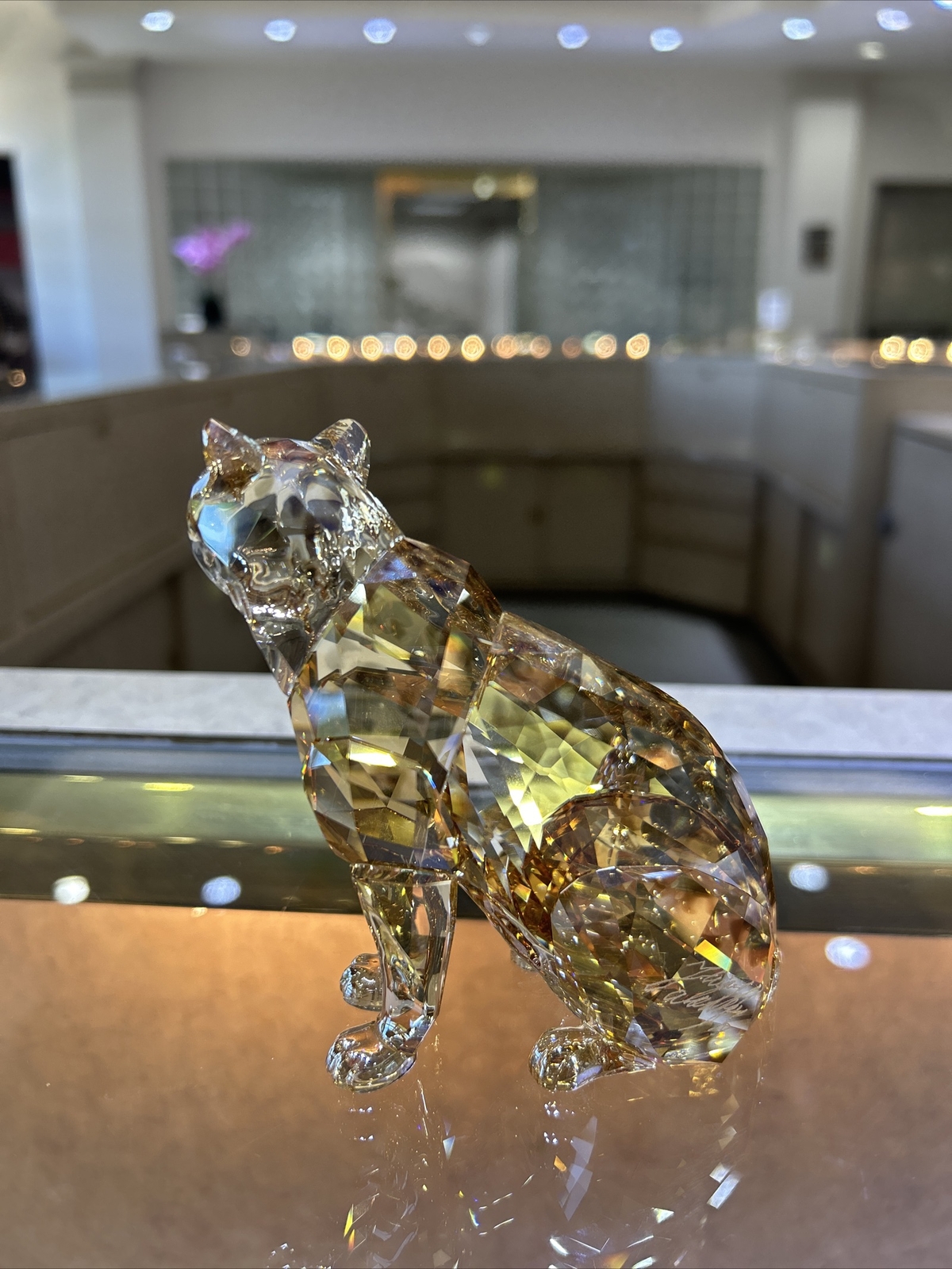 NEW Swarovski Amur Leopard Sofia SCS Members 5428541 With Box- Signed by Artist