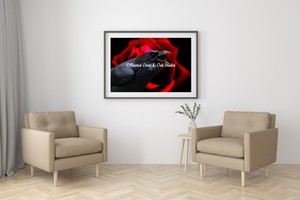 Gothic Black Crow Skull Silhouette White Rose Art Home Decor Matted Picture A353
