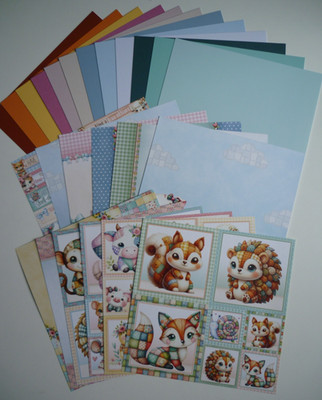 Hunkydory Patchwork Pals. 12 Papiere & 12 aufeinander abgestimmte farbige 350 g/m² Karton