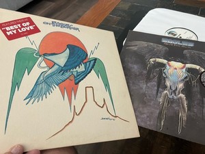 Eagles on the Border Vinyl | eBay