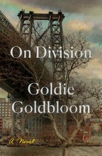 On Division by Goldie Goldbloom 2019 Hardcover Novel
