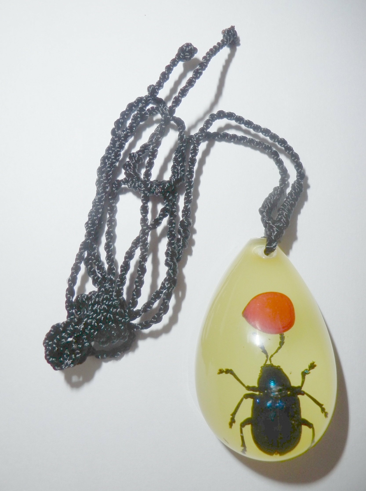 Picture 5 of 6