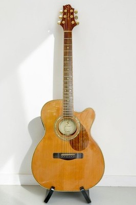 Greg Bennett OM-15CE Akustik E-Gitarre Fishman Preamp OM Korpus NEUWERTIG