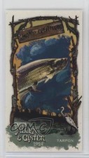 2024 Topps Allen & Ginter Mini Swamp Creatures Tarpon #SC-21 16za