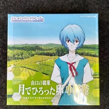 Rei Evangelion Egg package found on the moon