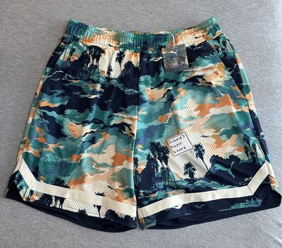 PUMA Veniceball Hoop Hunter Shorts Men s Size L Heavyweight Mesh Printed BNWT