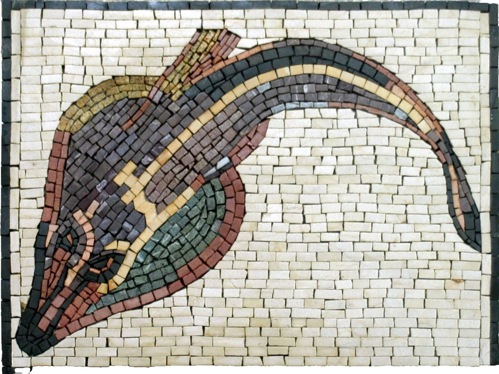 Piso de cocina internacional y azulejos de la pared