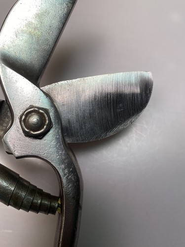 Bypass Pruners, Sharp and Ready for Work 2 Pair - Picture 4 of 12