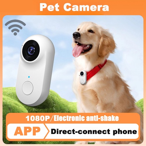 1080P FHD Mini Body Camera, Wearable POV Action Cam, Thumb-Size Hands-Free Cam - Picture 10 of 27