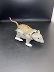 Picture 18 of 24