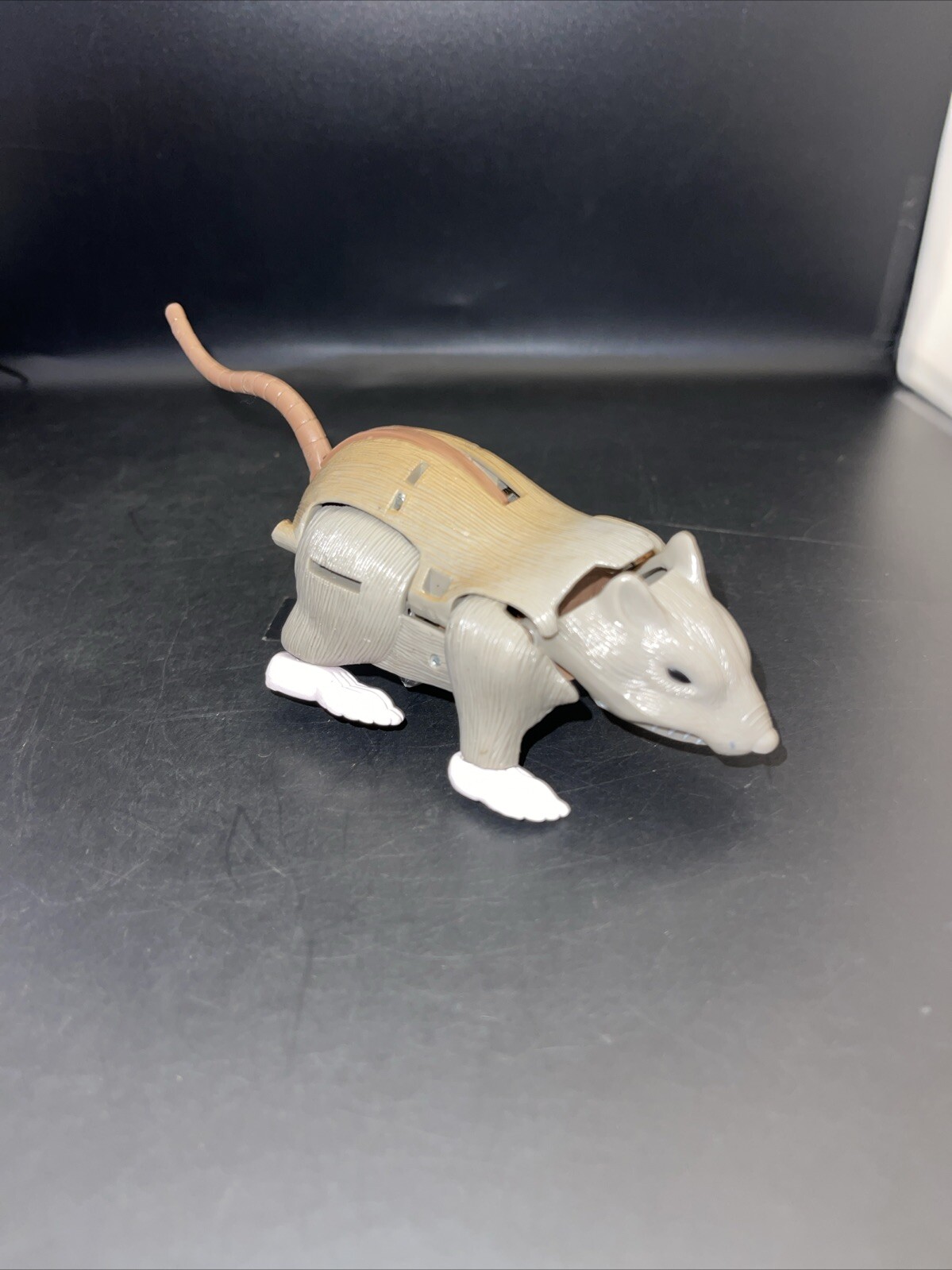 Picture 18 of 24