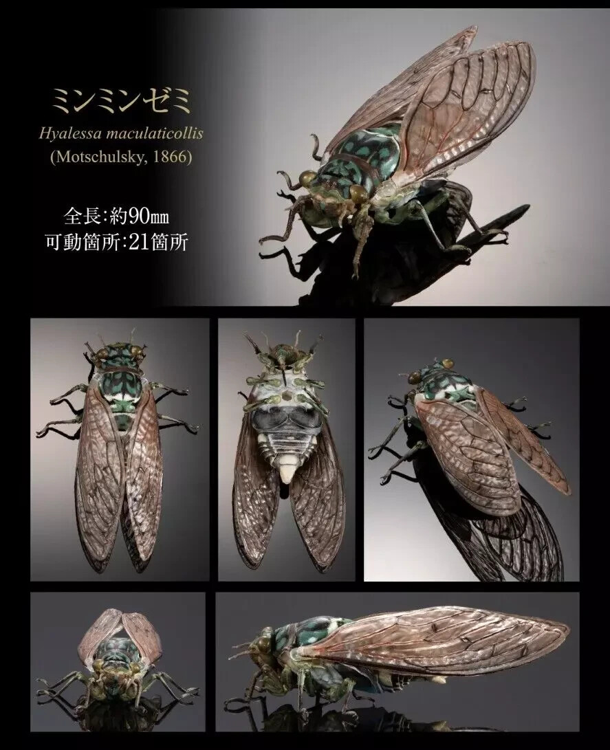 極美品★世界の動物遺産 Encyclopedia Of Creatures Potter Wasp Figure Doll 3 Set