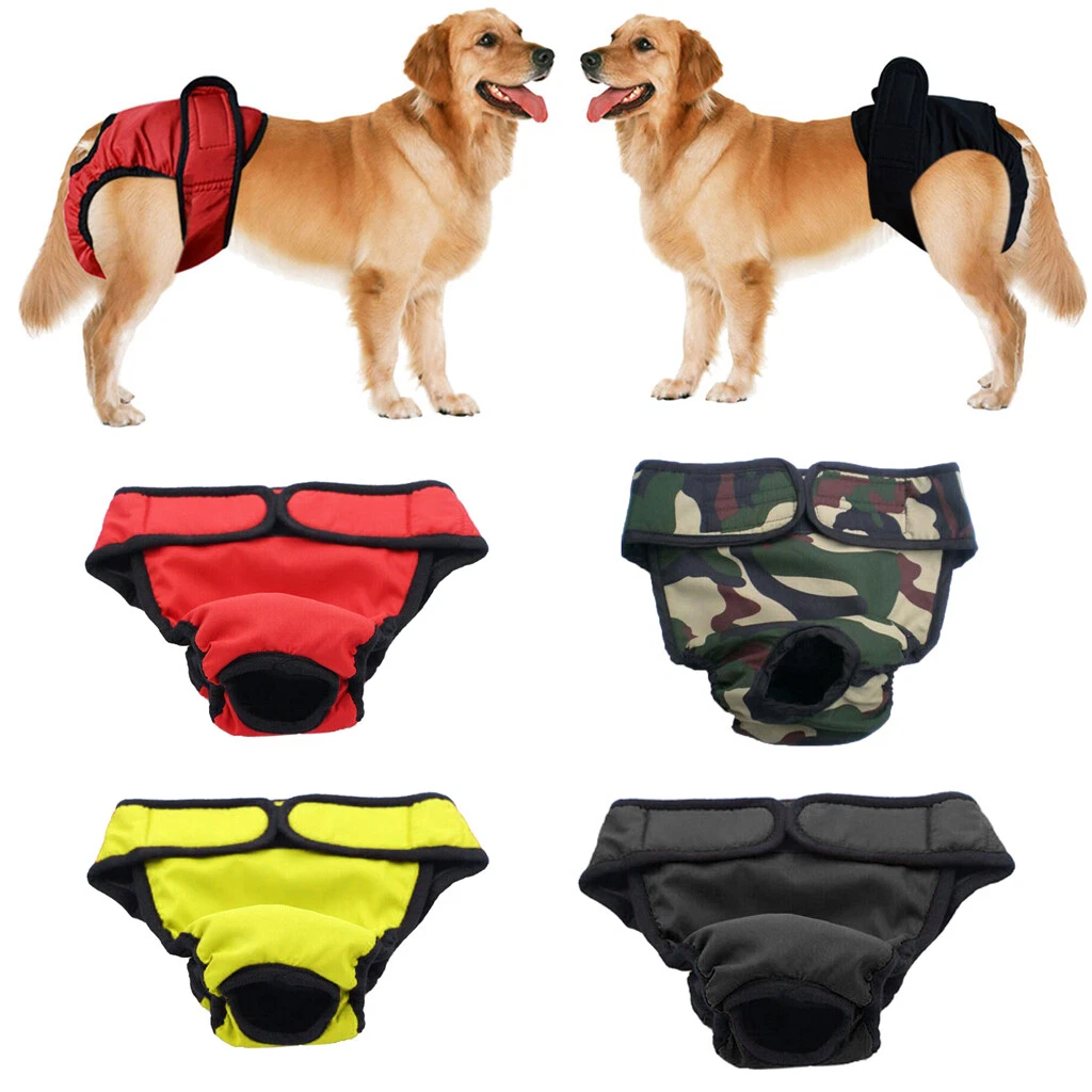 Female dog incontinence pants cheap