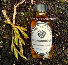 cottonwood oil , balm of gilead serum , herbal resin oils , aforagerscollective