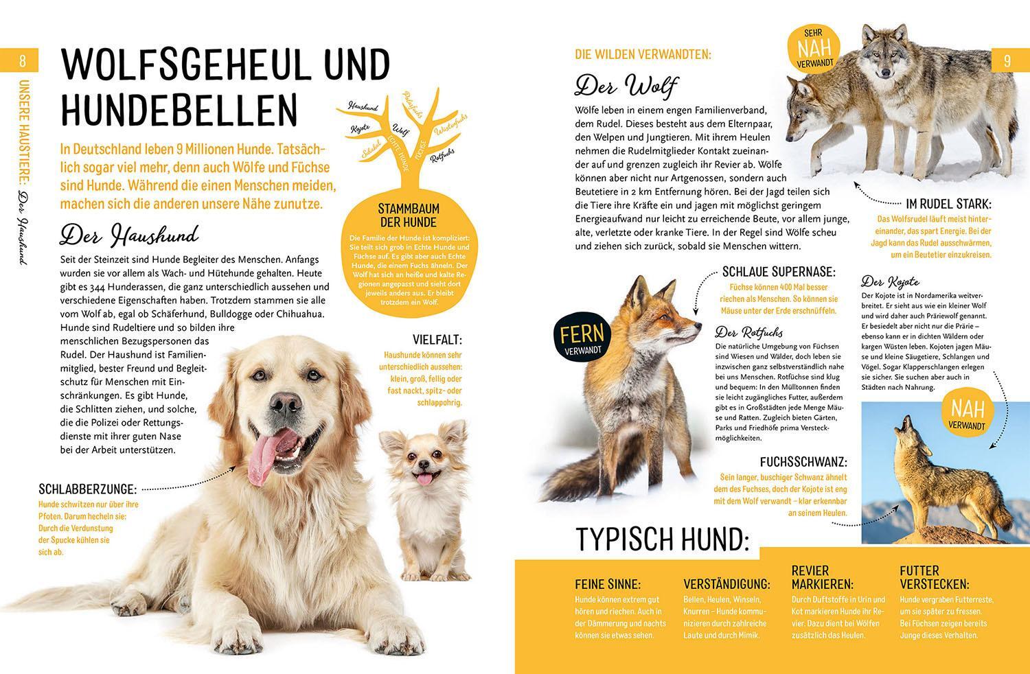 Thumbnail - Jule Ambach Heimische Tiere Und Ihre Wilden Verwandten 9783440172629