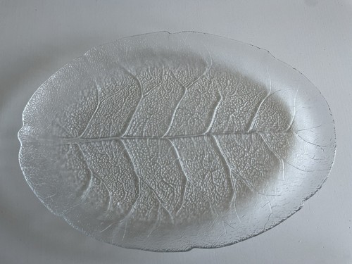 Luminarc Arcoroc Aspen Blattmotiv Servierplatte Teller Oval - 34 x 25 cm