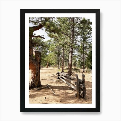 Kiefern im Wald Kunstdruck gerahmt Wandbild Poster Leinwanddruck Bild