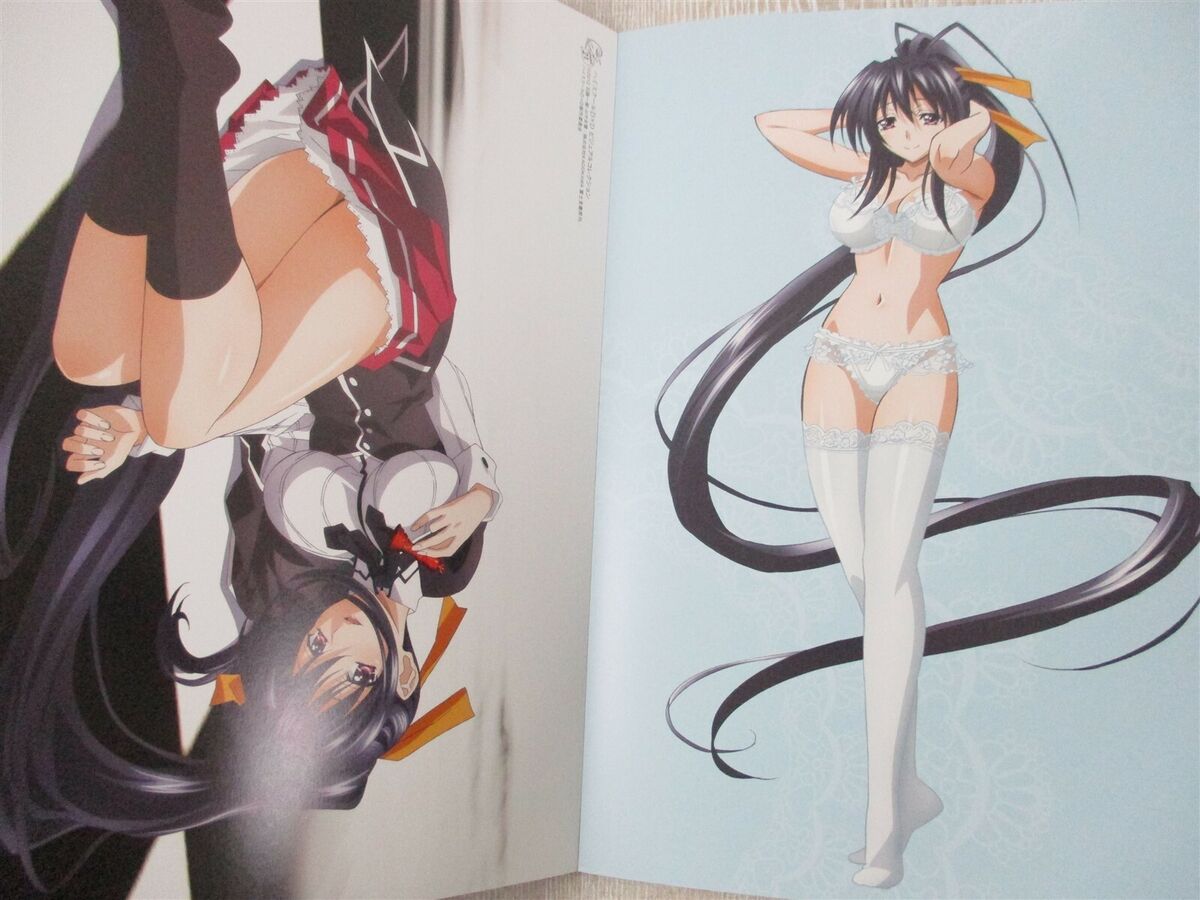 HIGHSCHOOL D X D Visual Collection Art Set Book w/Bath Poster Japan Book  2014