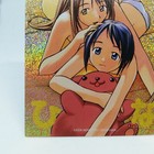 Bild 9 von 12