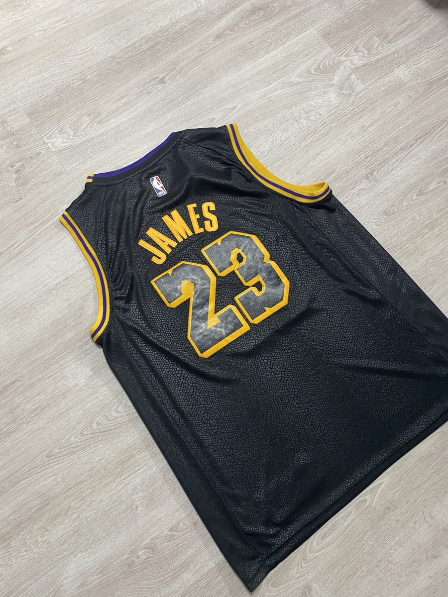 GW後削除　Nike Lakers LeBron 23 ジャージ Mサイズ Nike LeBron James #23 Los Angeles Lakers Earned Jersey M 44