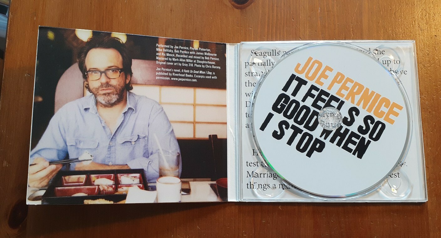 Joe Pernice It Feels So Good When I Stop (2009) for sale online eBay