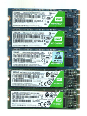 Lot of 5 Western digital 120GB M.2 2280 SATA Solid state drive SSD