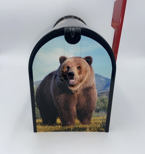 Oso de osos, buzón personalizado, regalo de San Valentín, buzón personalizado, regalo para papá - Imagen 3 de 20