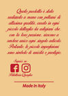 Foto 5 di 5