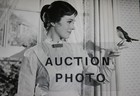 MARY POPPINS Vintage Photo JULIE ANDREWS  w robin ORIGINAL Rare DISNEY 1964 — photo 2