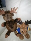 Bild 8 von 8