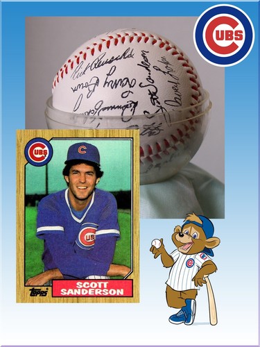 1987 CHICAGO CUBS BASEBALL TEAM SIGNIERTER BASEBALL IN KUNSTSTOFFABDECKUNG - Bild 6 von 12