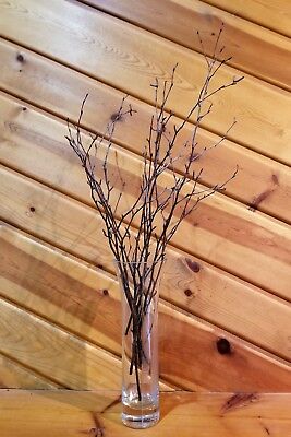 Bundle Natural Birch Twigs Birch Branches Centerpieces Home Decorative G1L5 Bundle Natural Birch Twigs Birch Branches Centerpieces Home Decorative G1L5